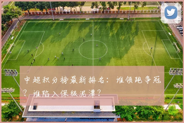 中超积分榜最新排名：谁领跑争冠？谁陷入保级泥潭？
